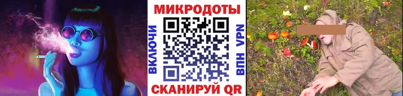 Псилоцибиновые грибы Cubensis  купить   Златоуст 
