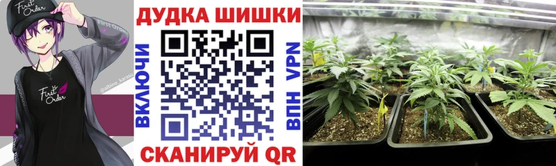 Бошки Шишки планчик  где найти   Златоуст 